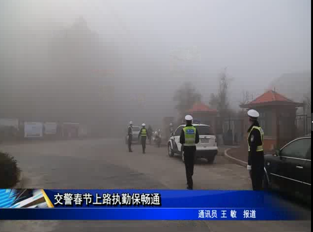 交警春节上路执勤保畅通