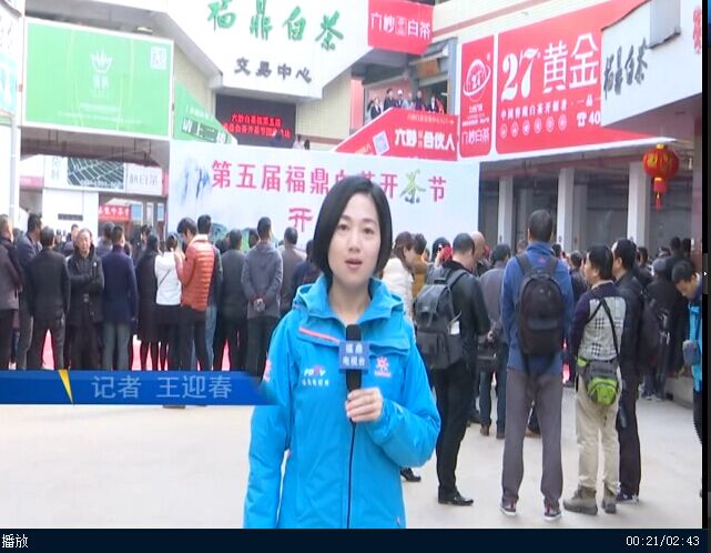 白茶飘香 一叶倾城 第五届福鼎白茶开茶节在点头开幕