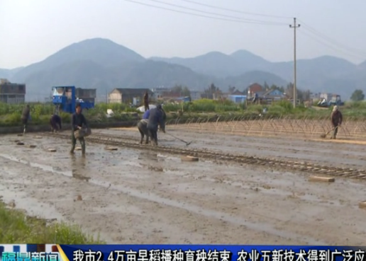 我市2.4万亩早稻播种育秧结束 农业五新技术得到广泛应用