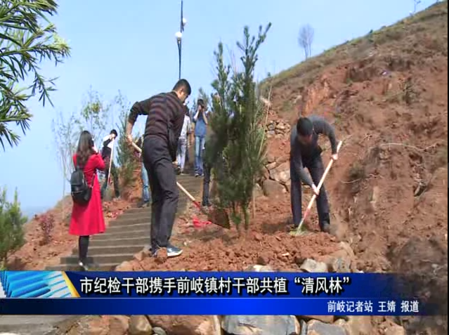 市纪检干部携手前岐镇村干部共植“清风林”