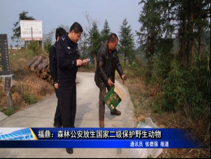 福鼎：森林公安放生国家二级保护野生动物放归自然
