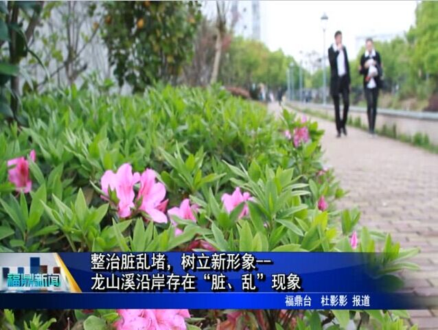 《整治脏乱堵，树立新形象》专栏：龙山溪沿岸存在“脏、乱”现象