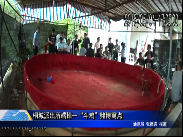 桐城派出所端掉一“斗鸡”赌博窝点