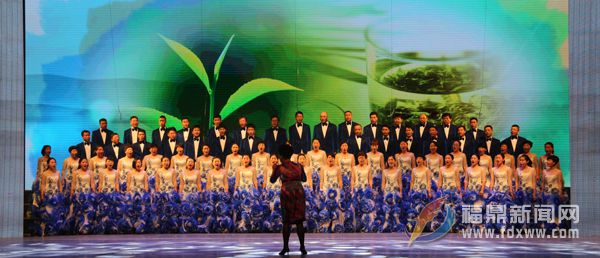 福鼎连续4届斩获“一县一歌”金奖