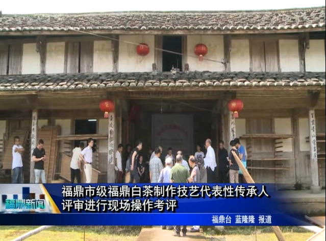 福鼎市级福鼎白茶制作技艺代表性传承人评审进行现场操作考评