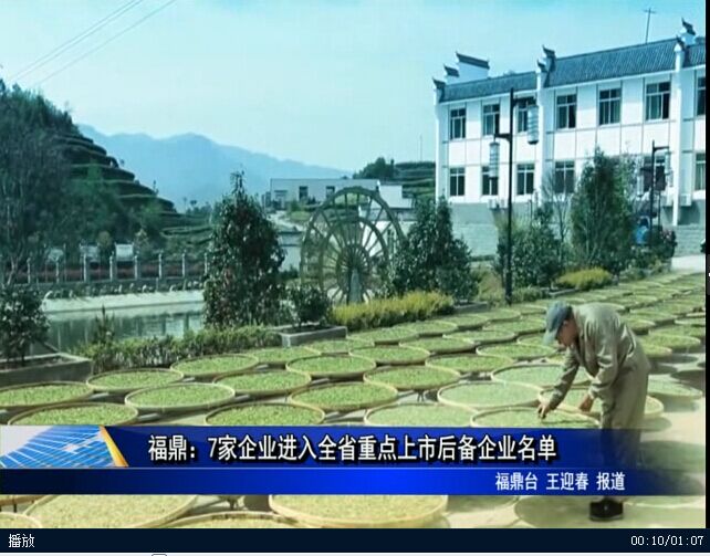 福鼎：7家企业进入全省重点上市后备企业名单