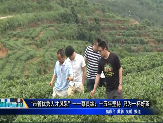 “市管优秀人才风采”——蔡良绥：十五年坚持 只为一杯好茶