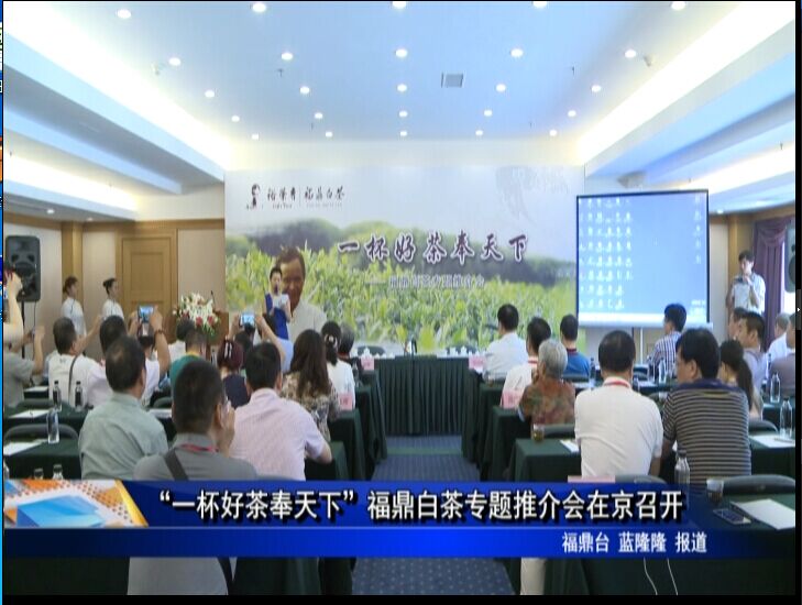 “一杯好茶奉天下”福鼎白茶专题推介会在京召开