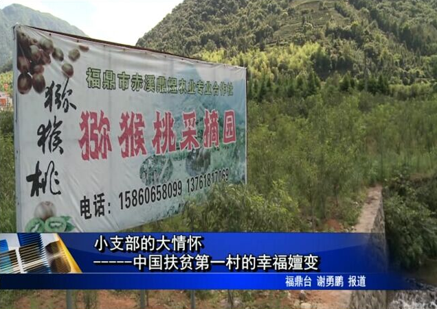 小支部的大情怀-----中国扶贫第一村的幸福嬗变