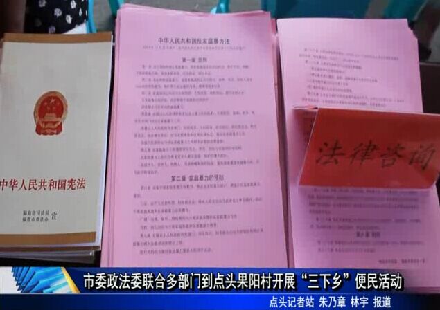 市委政法委联合多部门到点头果阳村开展“三下乡”便民活动