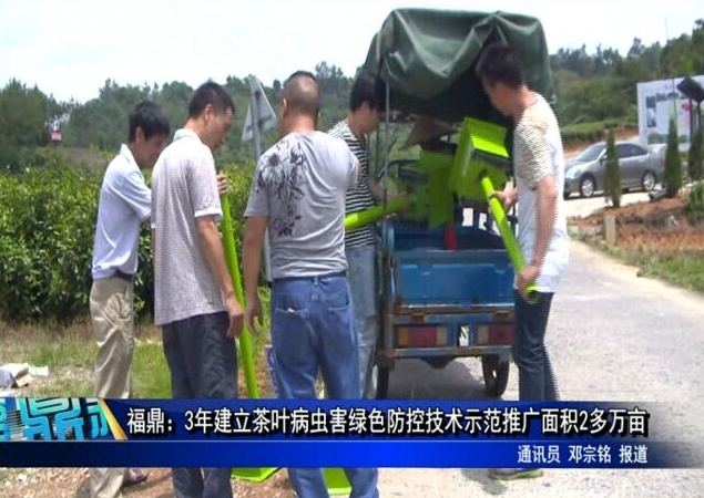 福鼎：3年建立茶叶病虫害绿色防控技术示范推广面积2多万亩