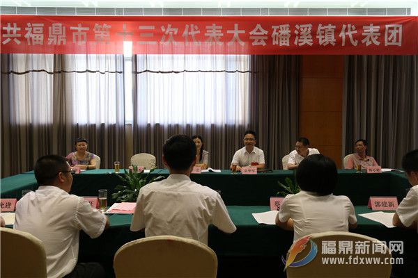 袁华军参加代表团会议.jpg