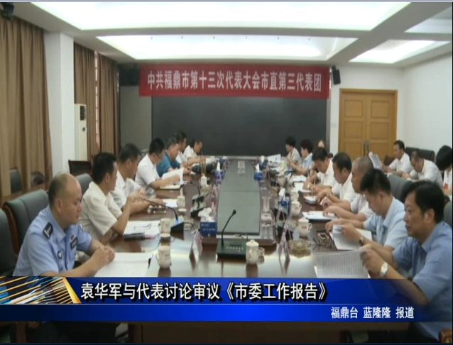 袁华军与代表讨论审议《市委工作报告》