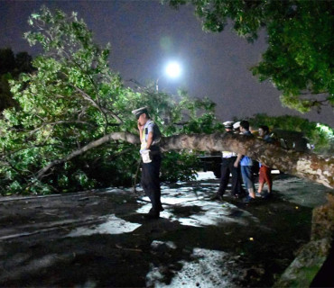 强台风“妮妲”今天凌晨在深圳登陆 中心最大风力达14级