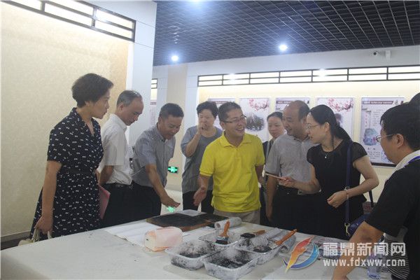  宁德市人大调研组莅鼎调研