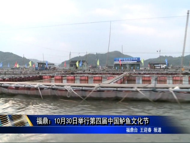 福鼎：10月30日举行第四届中国鲈鱼文化节