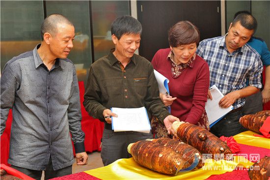 评委们对参赛槟榔芋外观进行评分.jpg