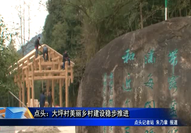 点头：大坪村美丽乡村建设稳步推进