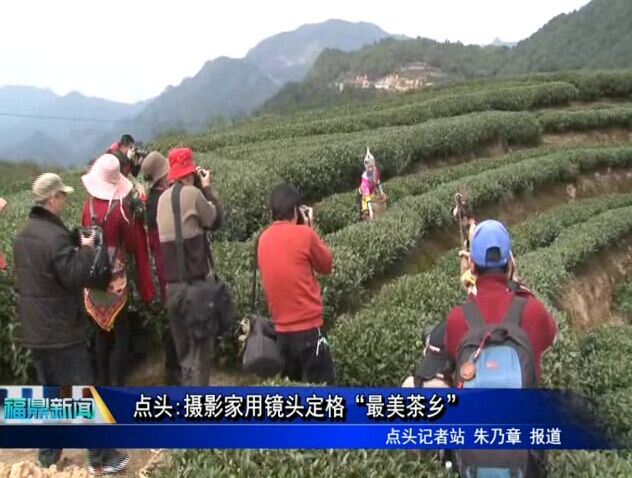 点头:摄影家用镜头定格“最美茶乡”