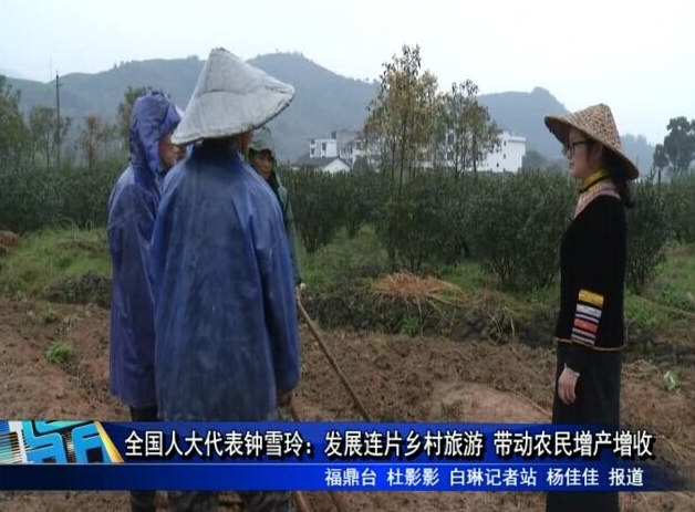 全国人大代表钟雪玲：发展连片乡村旅游 带动农民增产增收