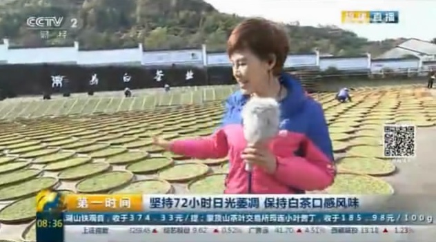 CCTV2:福鼎开茶节