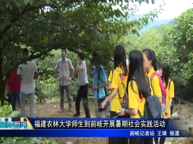 福建农林大学师生到前岐开展暑期社会实践活动