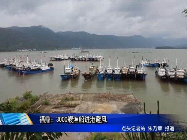福鼎：3000艘渔船进港避风