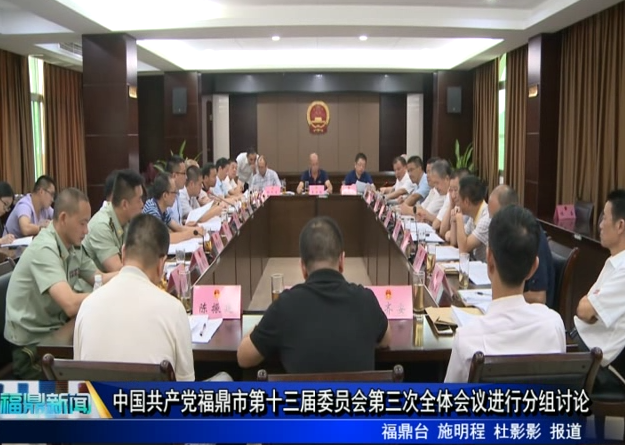 中国共产党福鼎市第十三届委员会第三次全体会议进行分组讨论