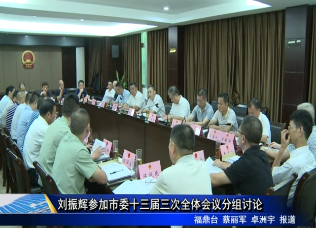 刘振辉参加市委十三届三次全体会议分组讨论