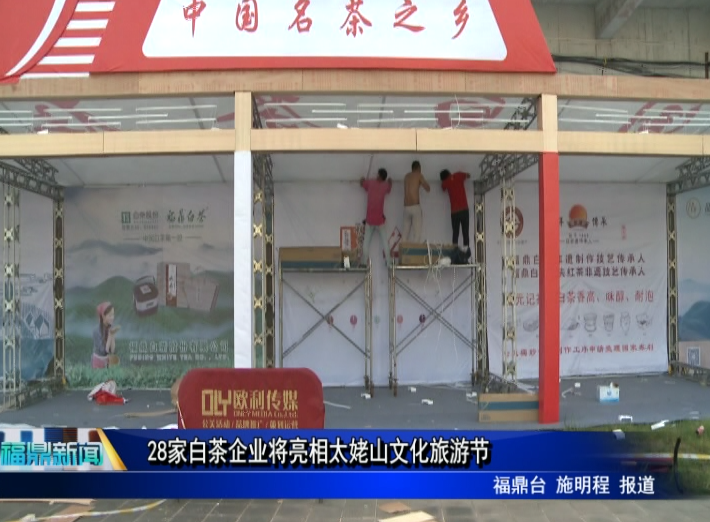 28家白茶企业将亮相太姥山文化旅游节