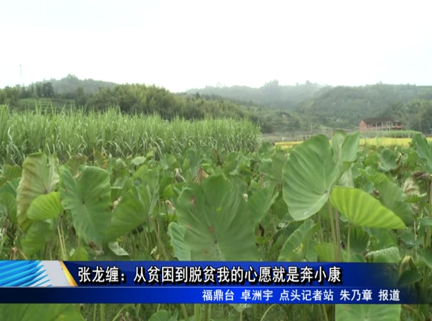 张龙缠：从贫困到脱贫我的心愿就是奔小康