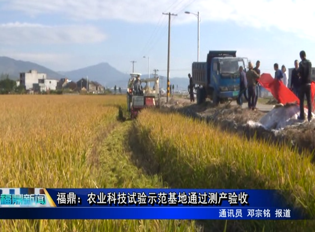 福鼎：农业科技试验示范基地通过测产验收