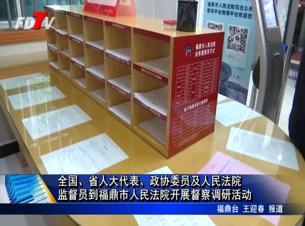 全国、省人大代表、政协委员及人民法院监督员到福鼎市人民法院开展督察调研活动