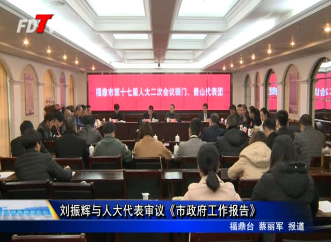 刘振辉与人大代表审议《市政府工作报告》