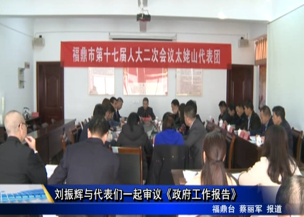 刘振辉与代表们一起审议《政府工作报告》