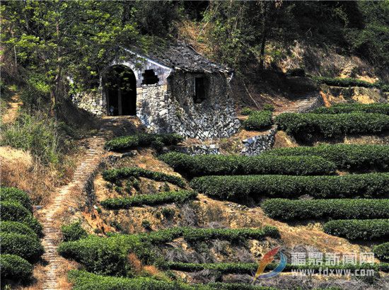 福鼎文化遗产的海丝印记之三十——古道路亭