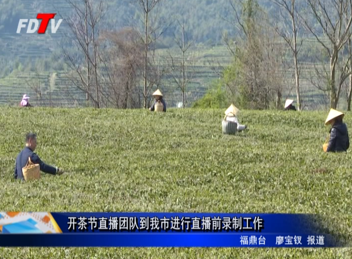 开茶节直播团队到我市进行直播前录制工作