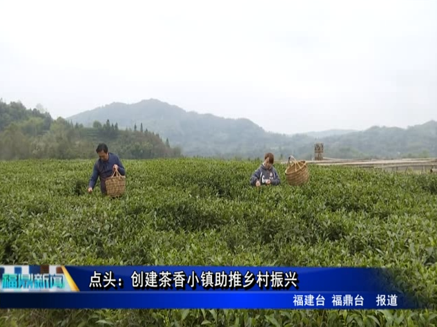 点头：创建茶香小镇助推乡村振兴