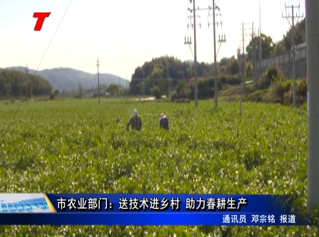 市农业部门：送技术进乡村 助力春耕生产