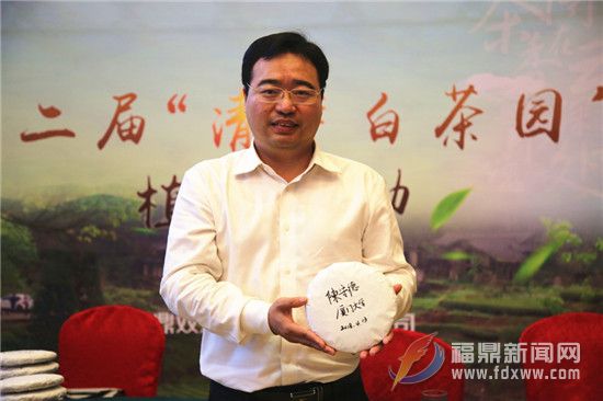 茶派老总