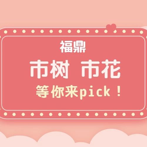 福鼎“市树、市花”投票开始啦！快来pick你心中的NO.1吧！