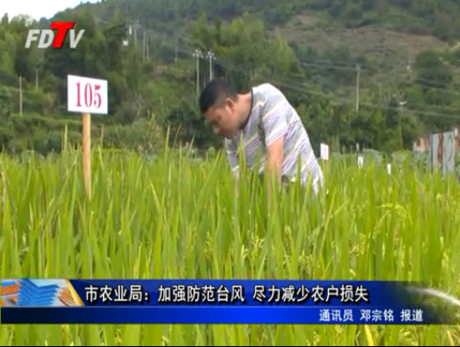 市农业局：加强防范台风 尽力减少农户损失