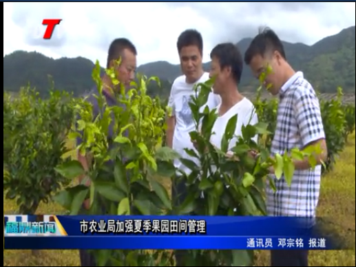 市农业局加强夏季果园田间管理