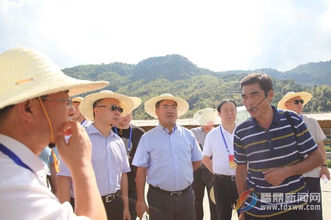 全国人大代表莅鼎视察检察机关工作情况