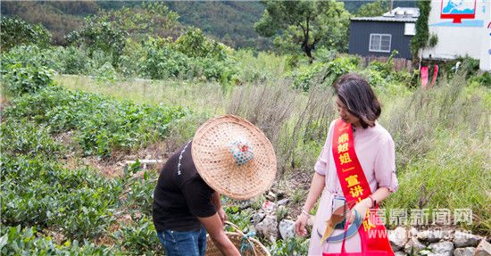 送法下乡 惠及群众 “鼎姐姐”理论宣讲小分队走进赤溪侧记