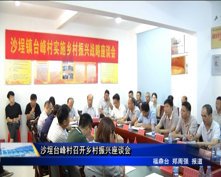 沙埕台峰村召开乡村振兴座谈会