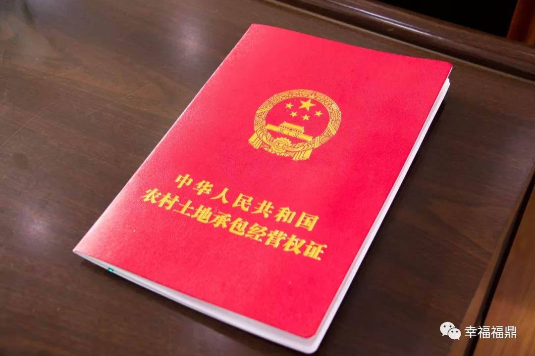 福鼎市颁发首批《农村土地承包经营权证》，农民土地有了“身份证”