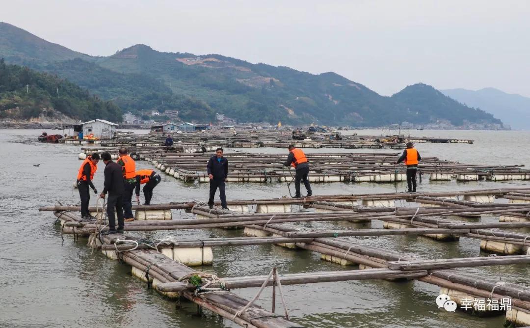 沙埕开展南镇海域渔排清退整治行动，已清退400余口！