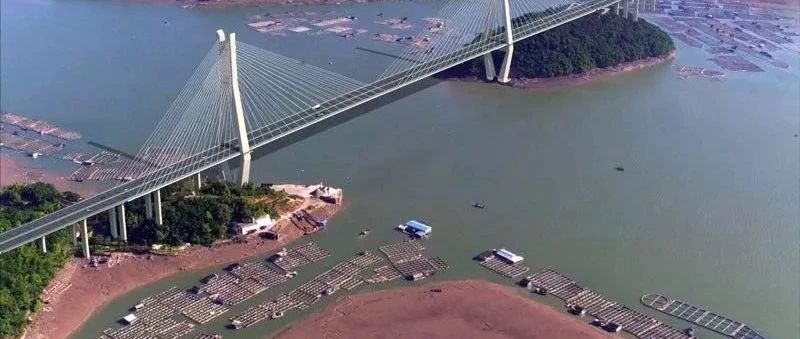 沙埕湾跨海大桥建设稳步推进，最新建设情况看这里~（附效果图）