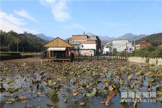 点头柏柳村美丽乡村建设 初显成效